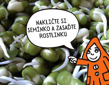 Nakličte si semínko