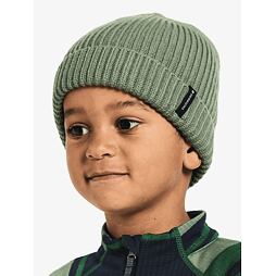 Dětská zimní čepice Didriksons Bus beanie 2 light moss