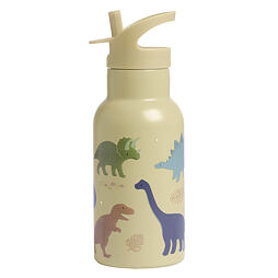Dětská nerezová termo lahev A Little Lovely Company s brčkem 350 ml dinosauři