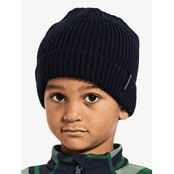 Dětská zimní čepice Didriksons Bus beanie 2 navy